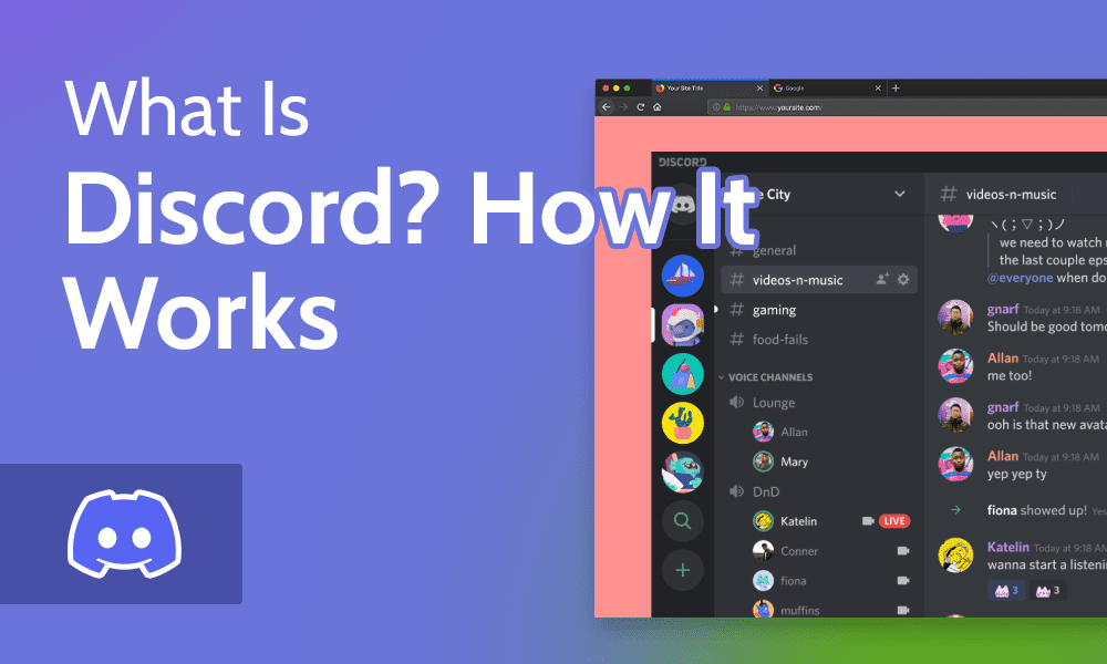 Discord: 온라인 과외, Webinar 용